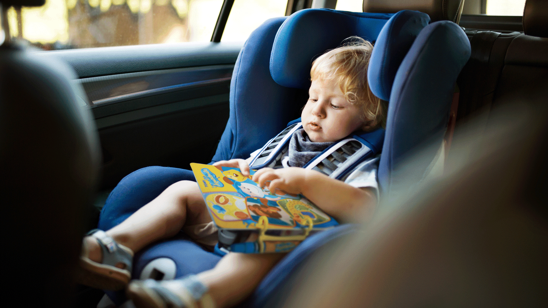 AQ-HEADER-1920x1080-1 AQ-HEADER-1920x1080-1