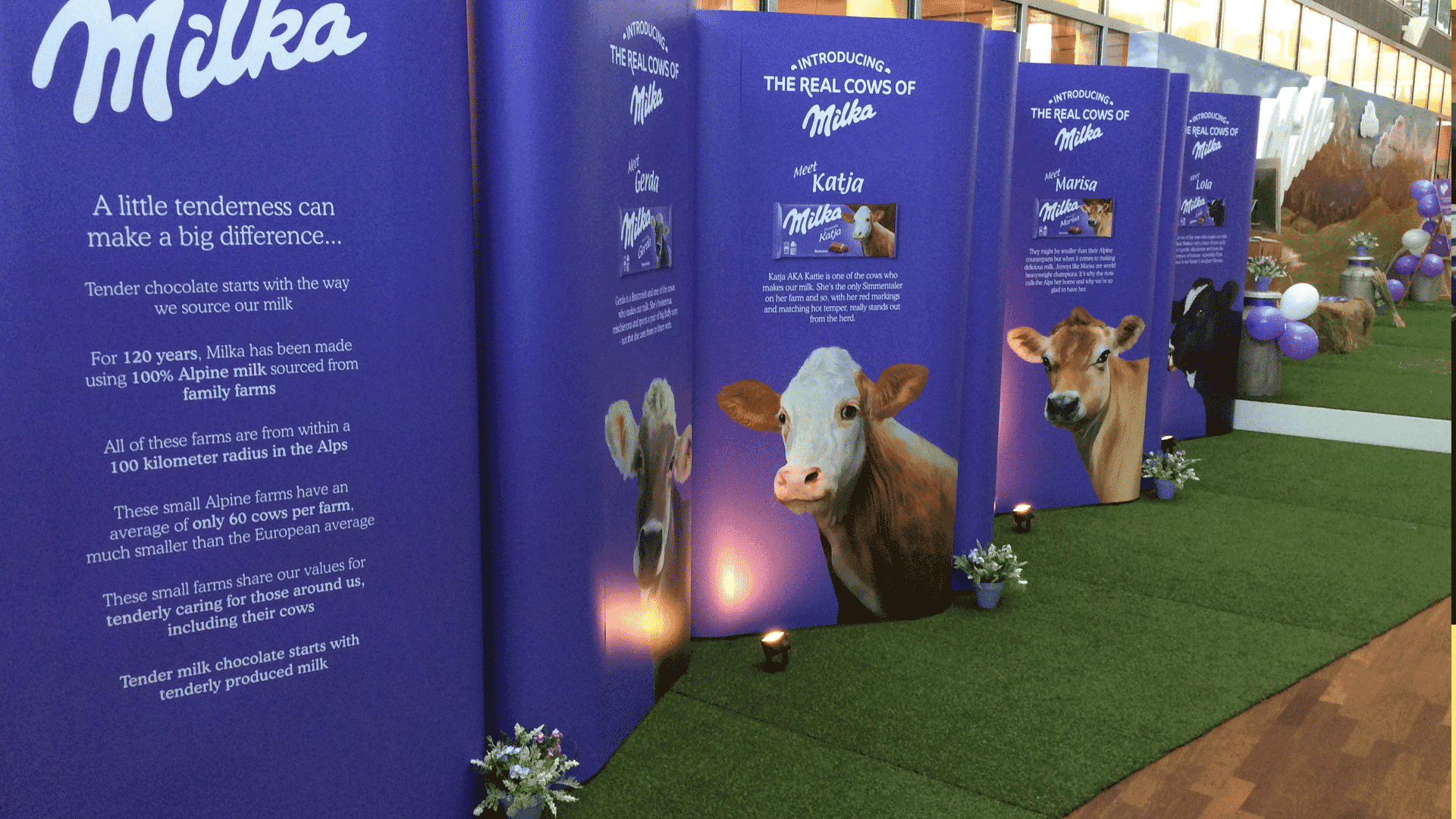 SER-STEWARDSHIP-B SER-STEWARDSHIP-B